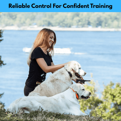 1000m Waterproof Dog Training E-Collar | Zyphhra