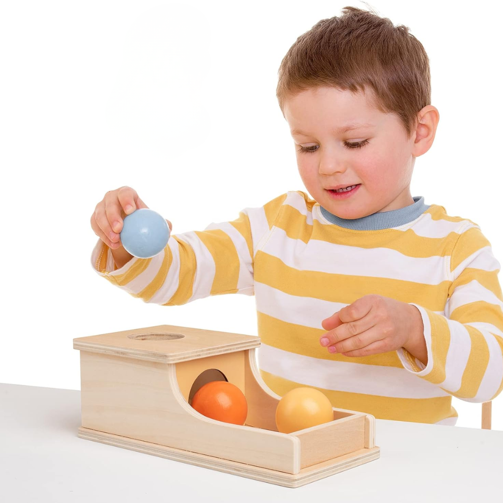 Wooden Drop & Retrieve Activity Box | Zyphhra