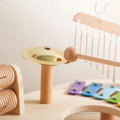 Toddler Rhythm & Musical Instrument Set | Zyphhra