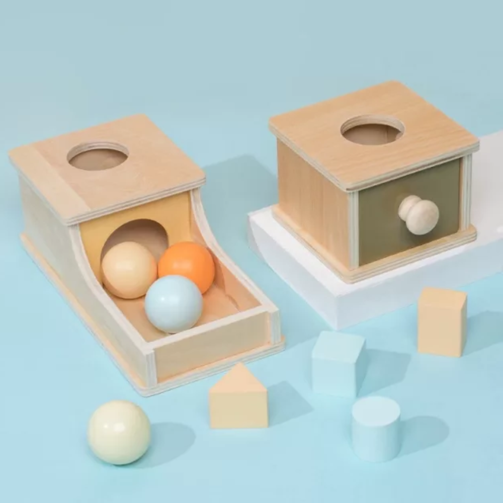 Wooden Drop & Retrieve Activity Box | Zyphhra