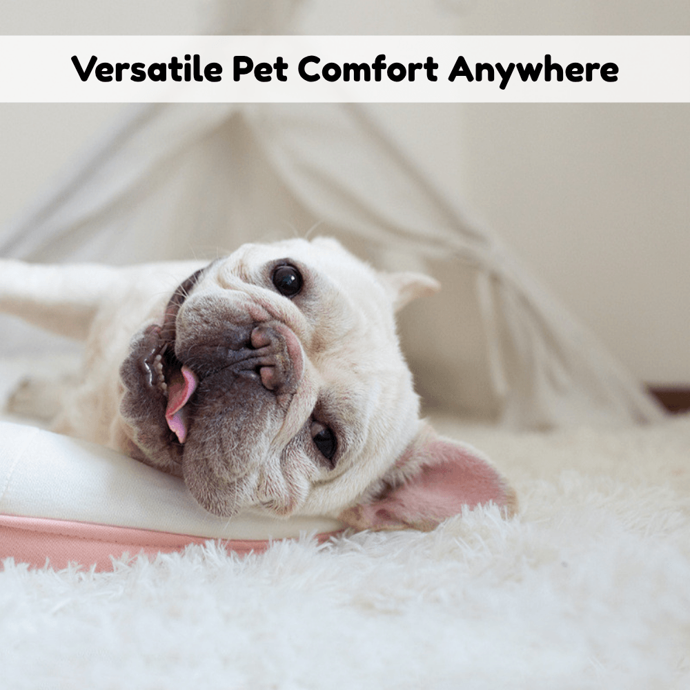 Calm Nest Cosy Pet Blanket | Zyphhra
