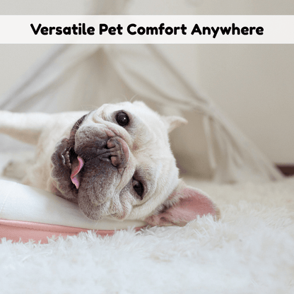 Calm Nest Cosy Pet Blanket | Zyphhra