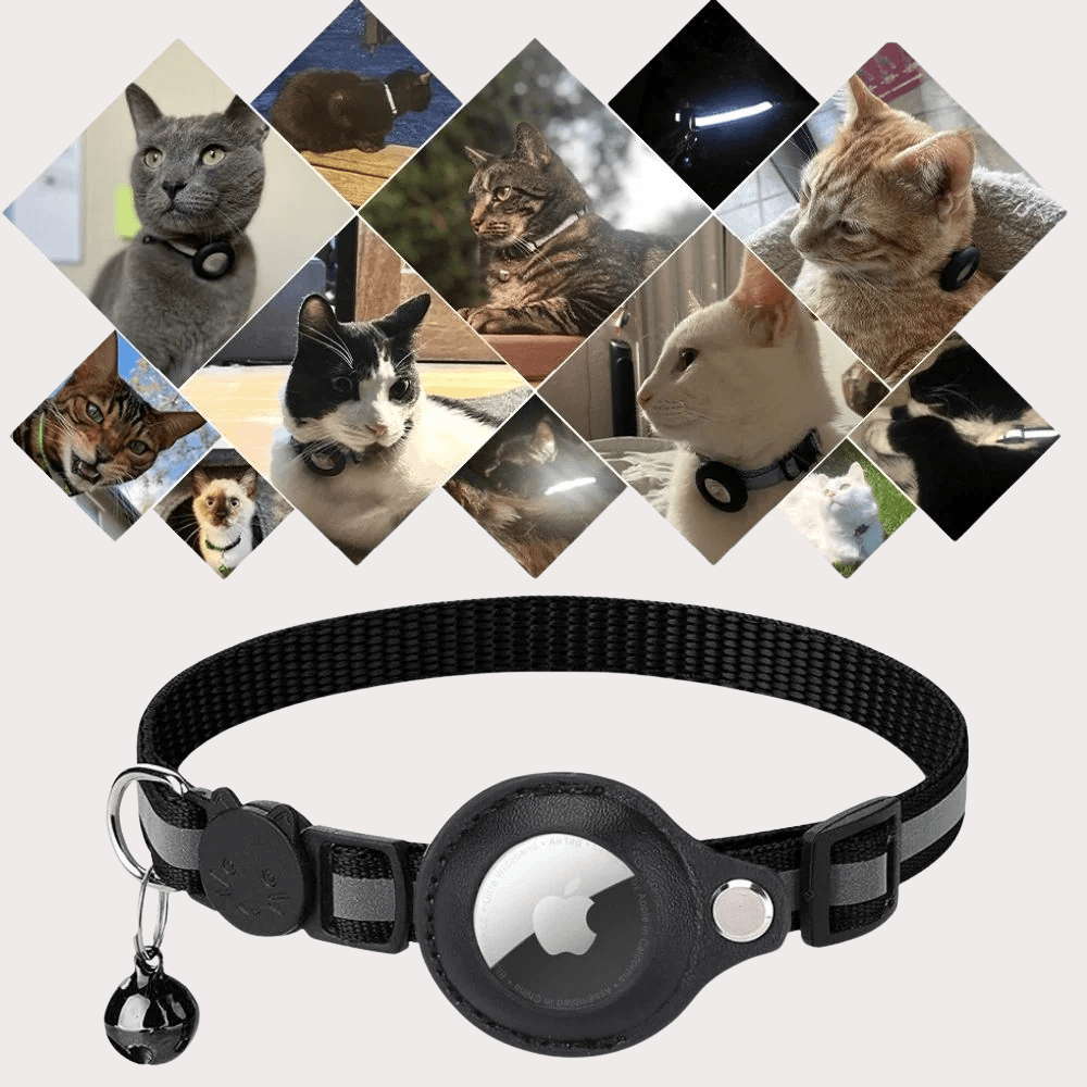 Reflective GPS Safety Cat Collar | Zyphhra