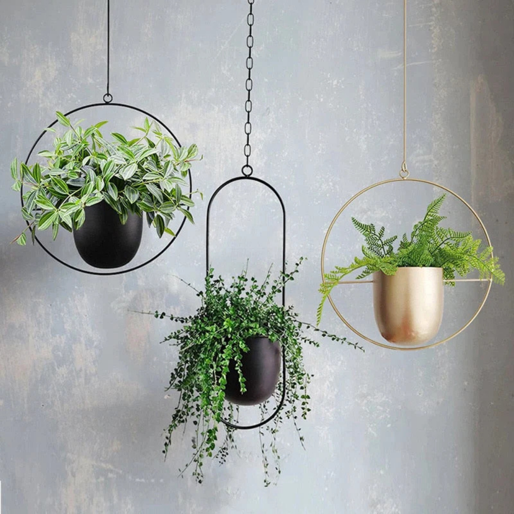 Nordic Style Plant Hanger | Zyphhra