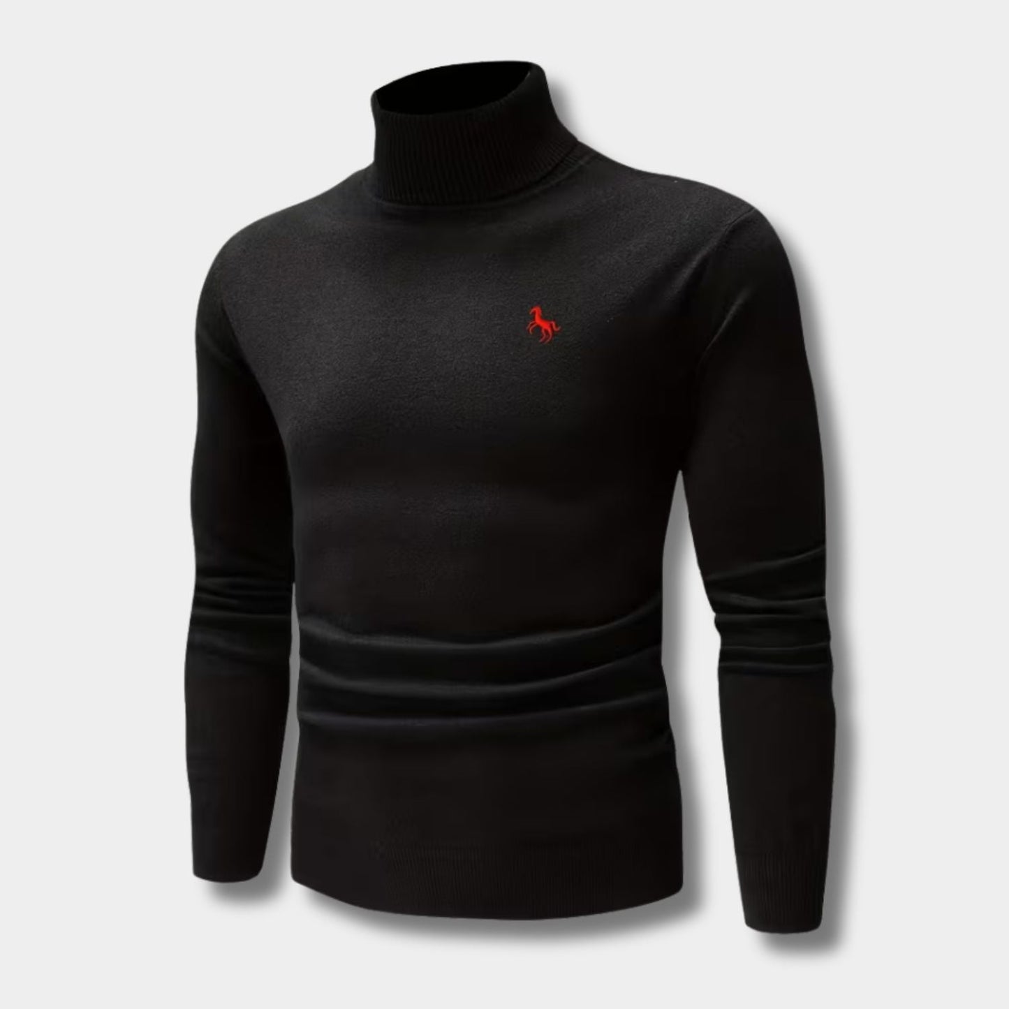 Embroidered Chest Detail Roll Neck | Zyphhra