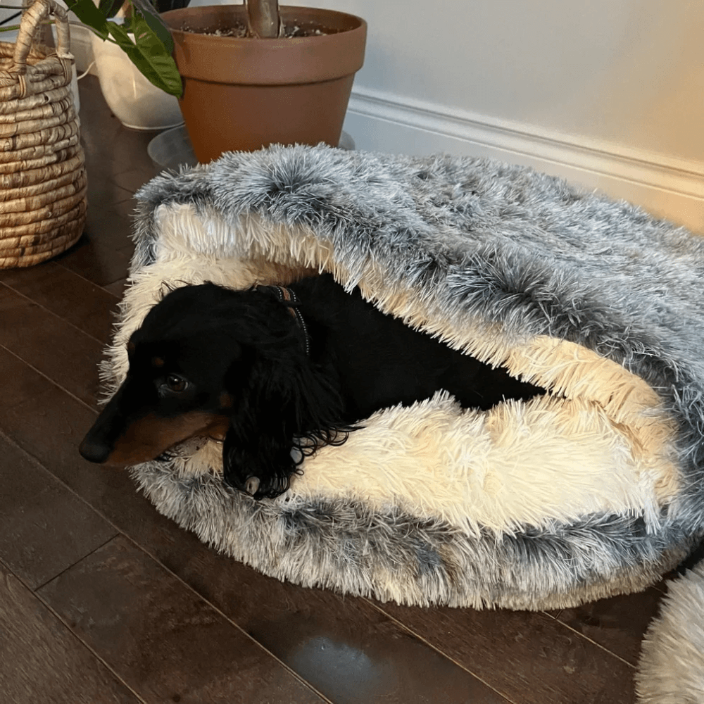 Plush Comfort Pet Cave | Zyphhra