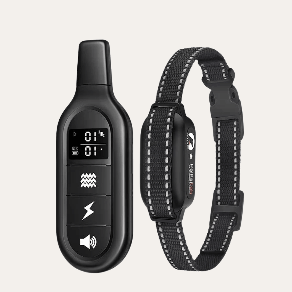 Waterproof Long Range Dog Training E-Collar | Zyphhra