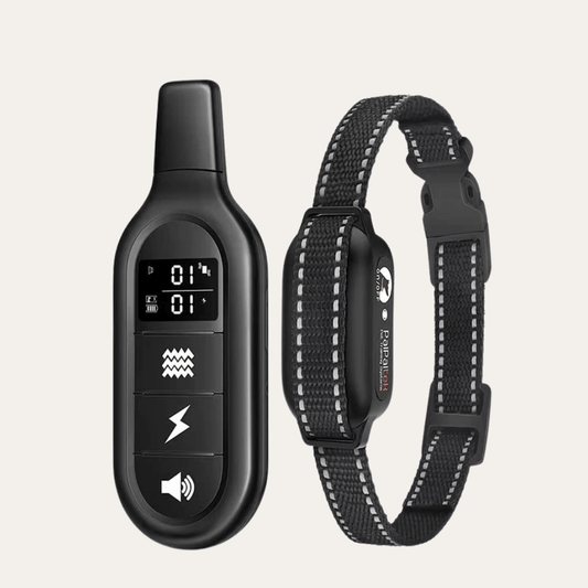 Waterproof Long Range Dog Training E-Collar | Zyphhra