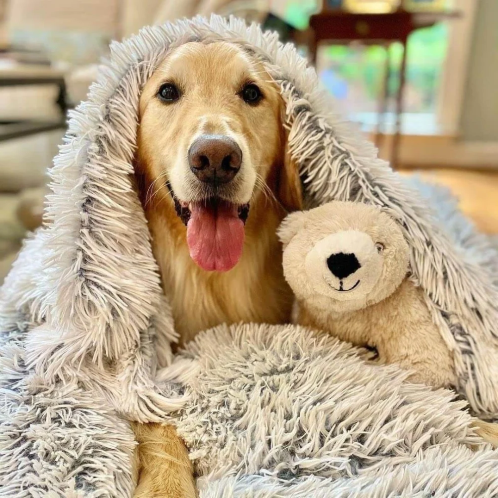 Calm Nest Cosy Pet Blanket | Zyphhra