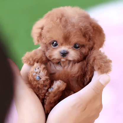 Realistic Smart Robotic Companion Puppy | Zyphhra