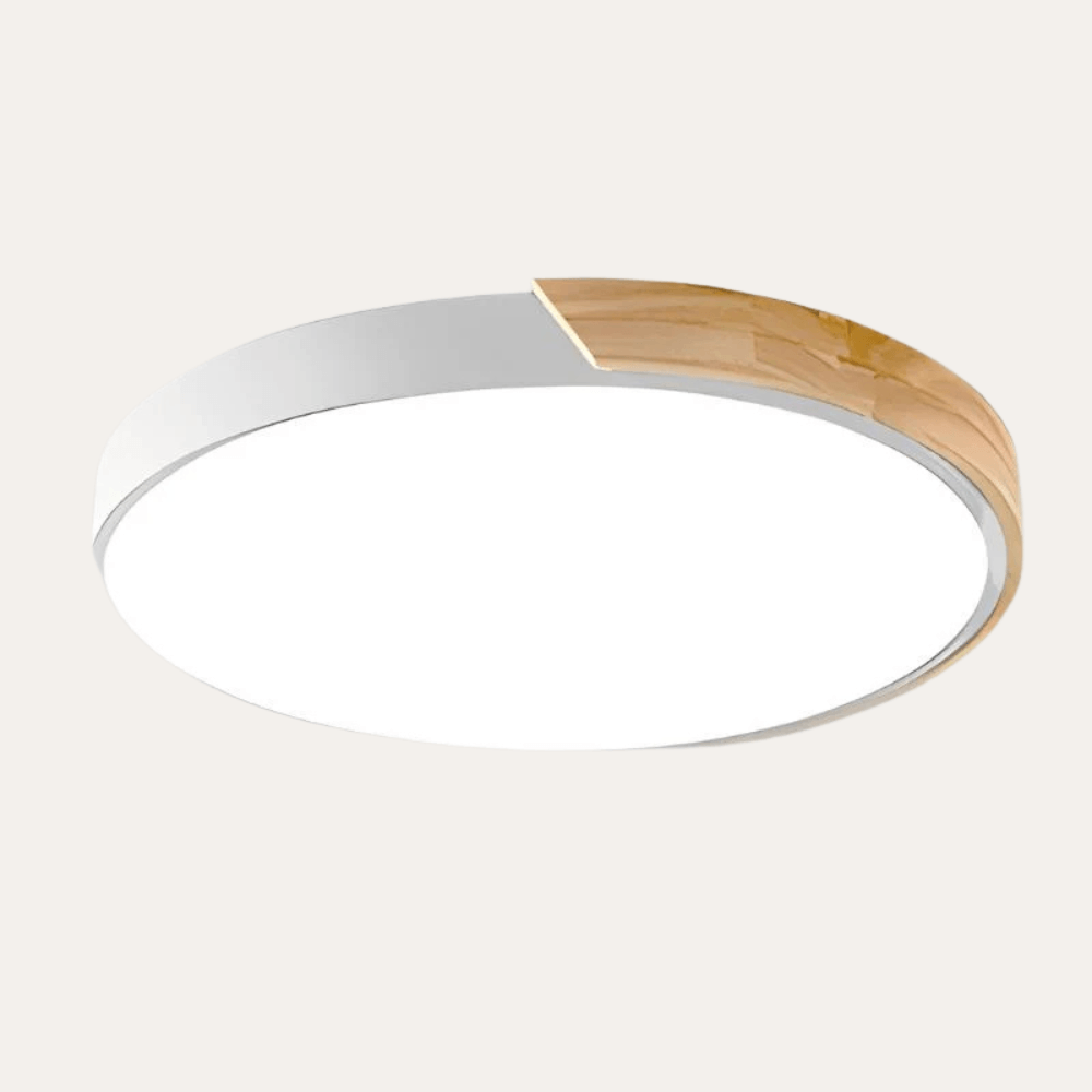 Minimalist Macaroon LED Ceiling Light | Zyphhra