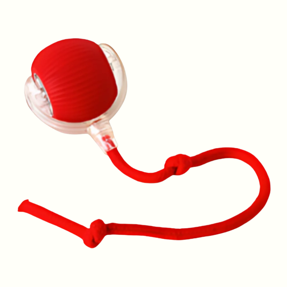 Active Pup Interactive Chew Ball | Zyphhra