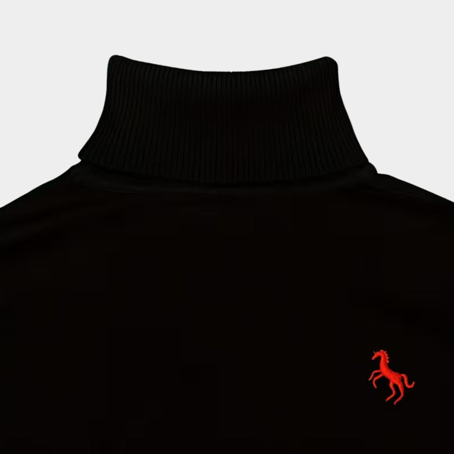 Embroidered Chest Detail Roll Neck | Zyphhra