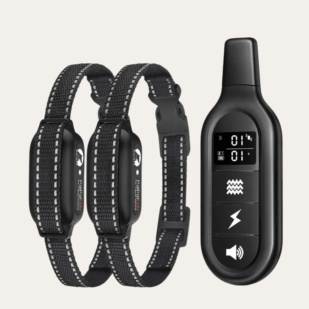 Remote + 2 Collars