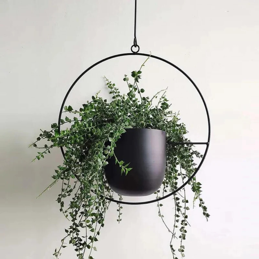 Nordic Style Plant Hanger | Zyphhra