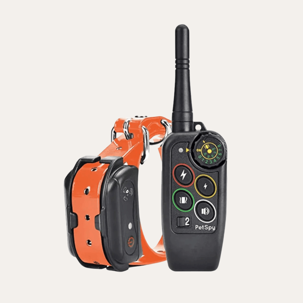 For 1 Dog | Orange