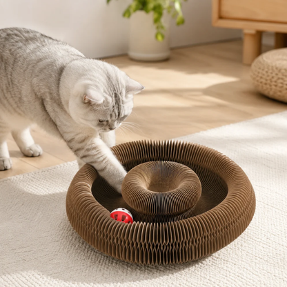 Multi-Shape Cat Scratcher Maze | Zyphhra