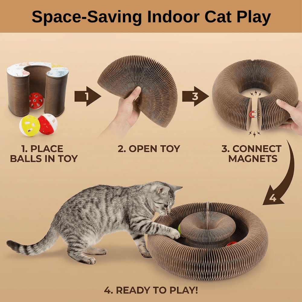 Multi-Shape Cat Scratcher Maze | Zyphhra