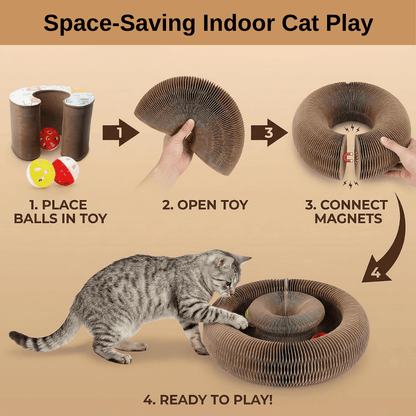 Multi-Shape Cat Scratcher Maze | Zyphhra