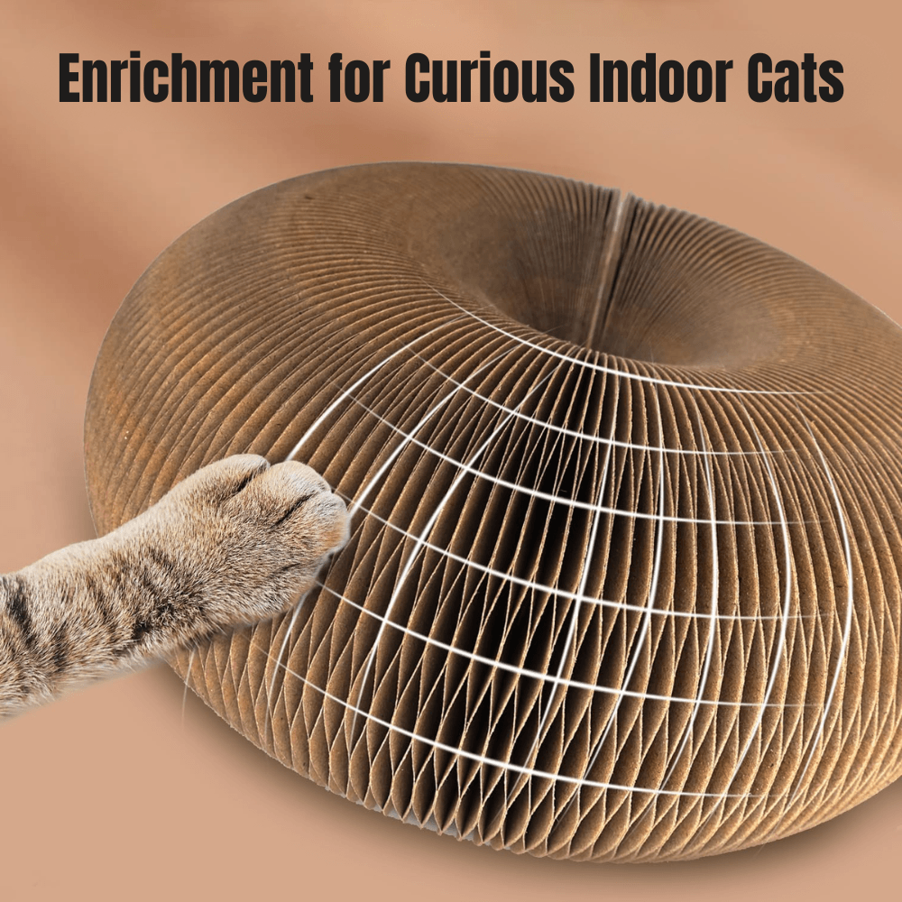 Multi-Shape Cat Scratcher Maze | Zyphhra