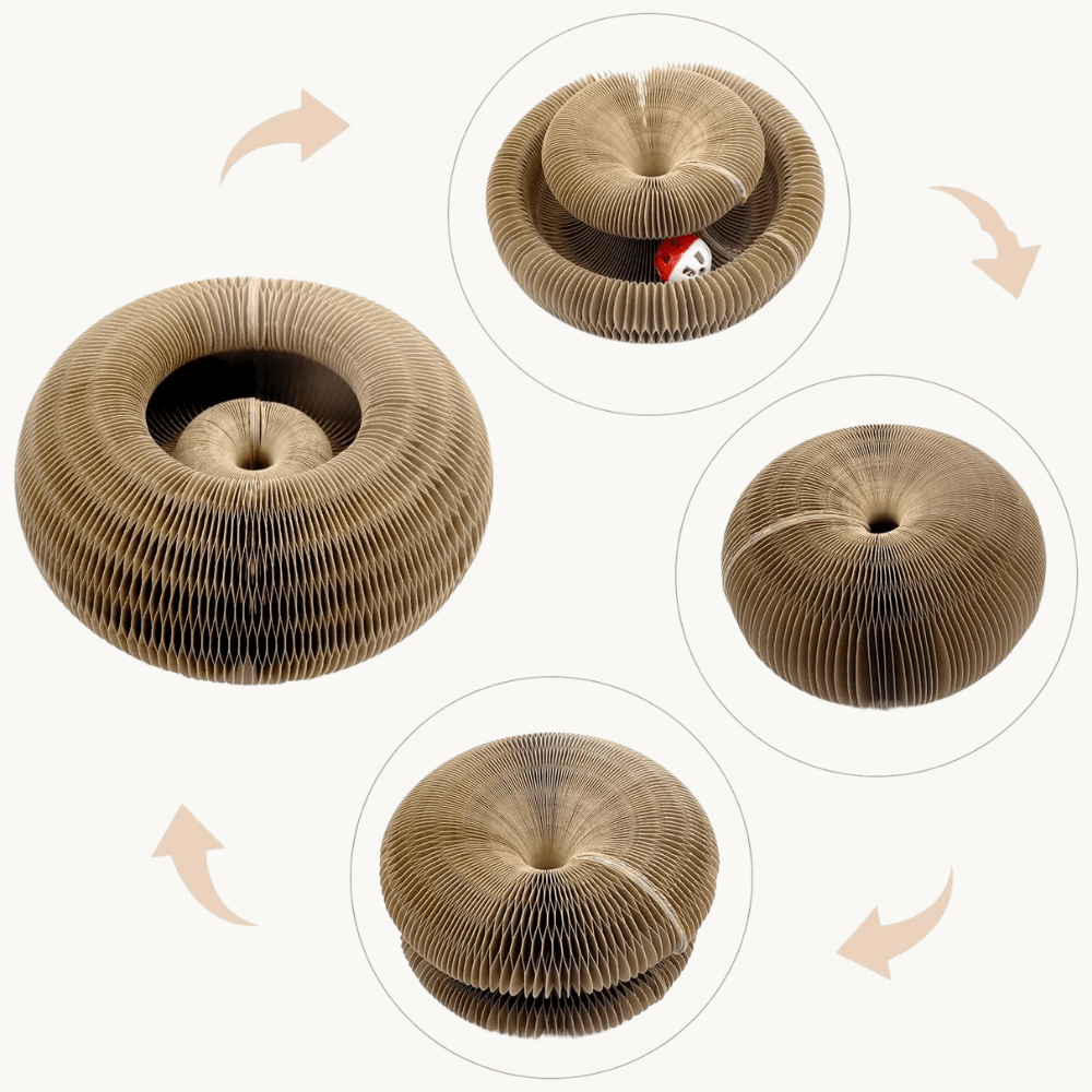 Multi-Shape Cat Scratcher Maze | Zyphhra