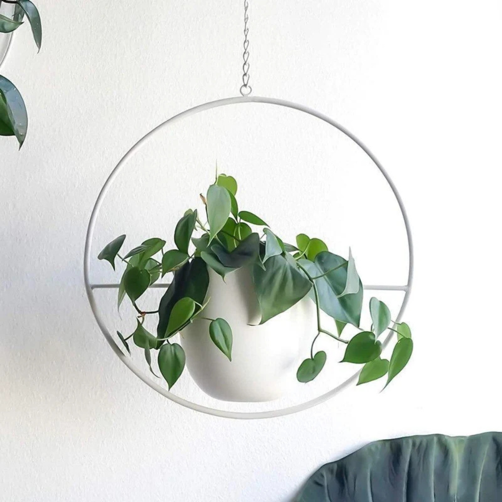 Nordic Style Plant Hanger | Zyphhra
