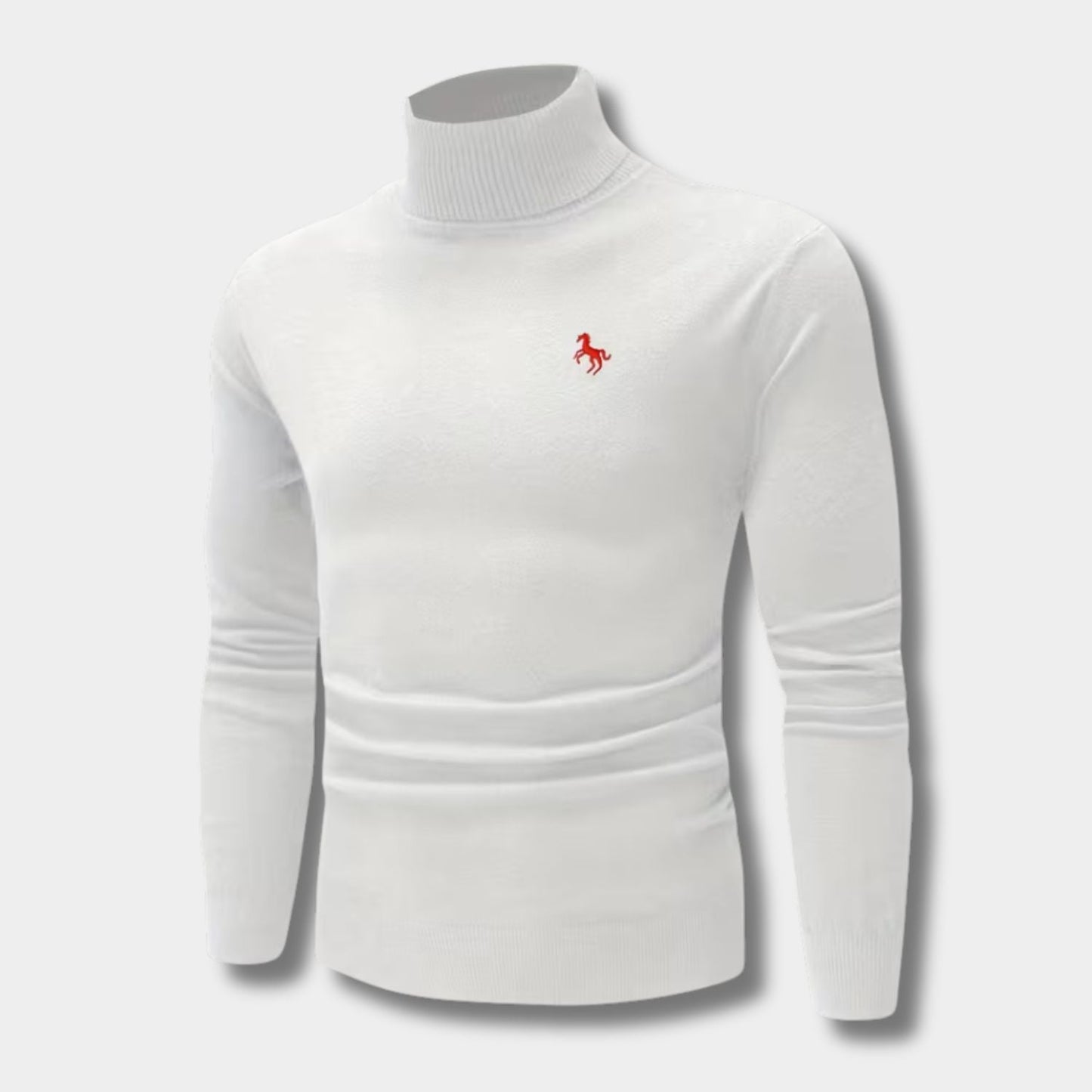 Embroidered Chest Detail Roll Neck | Zyphhra