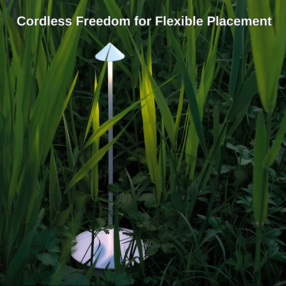 Cordless Table LED Lamp | Zyphhra