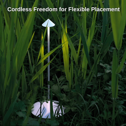 Cordless Table LED Lamp | Zyphhra