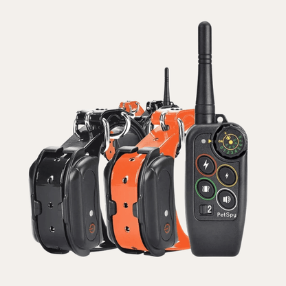 1000m Waterproof Dog Training E-Collar | Zyphhra