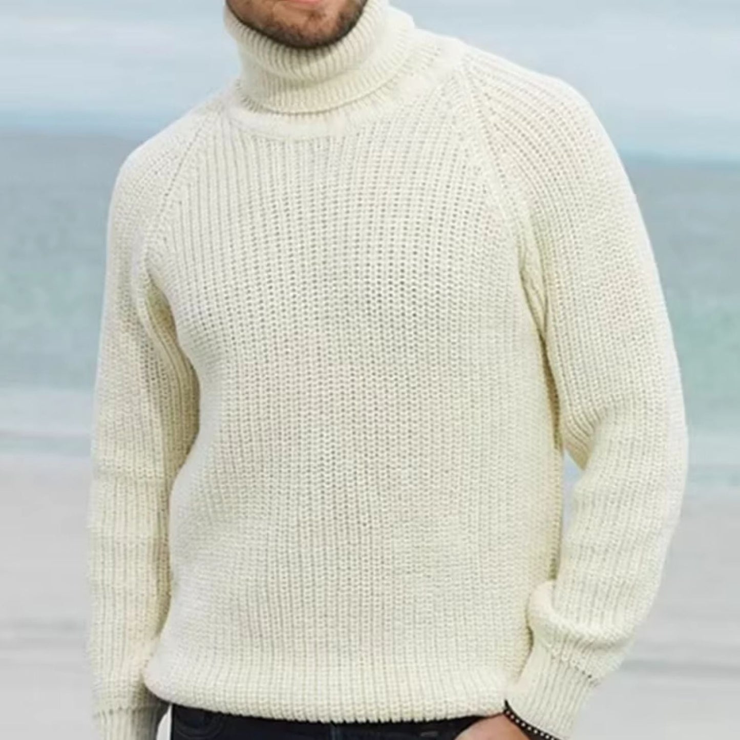 Warm Roll Neck Knit Jumper | Zyphhra
