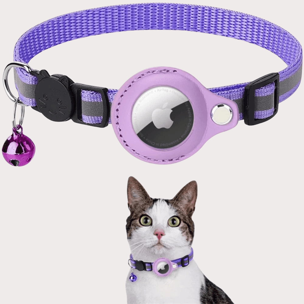 Reflective GPS Safety Cat Collar | Zyphhra