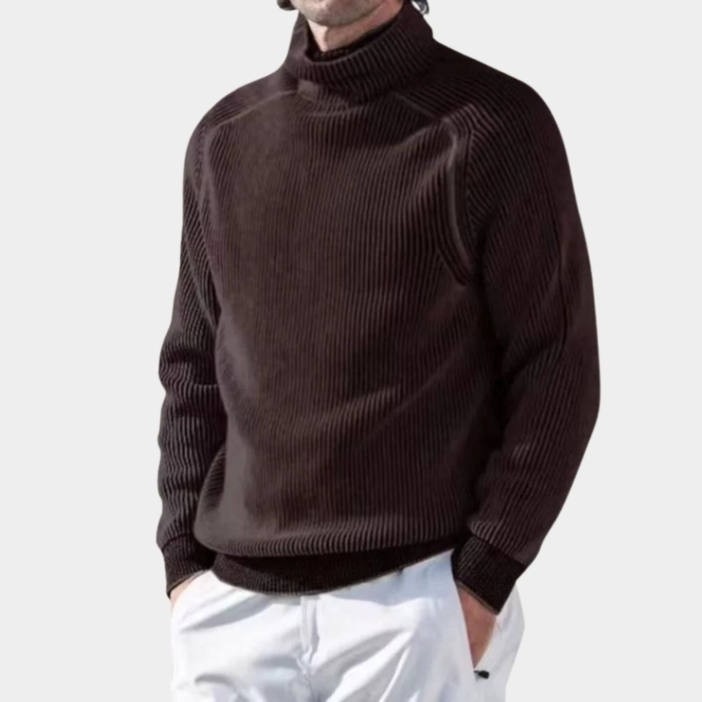 Ribbed Roll Neck Jumper | Zyphhra