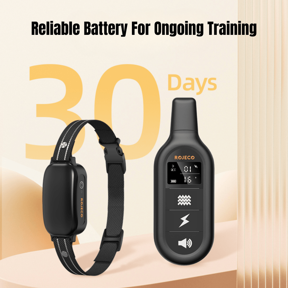 Waterproof Long Range Dog Training E-Collar | Zyphhra