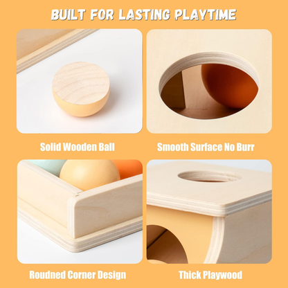 Wooden Drop & Retrieve Activity Box | Zyphhra