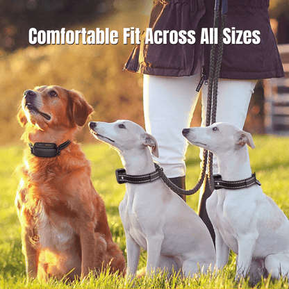Waterproof Long Range Dog Training E-Collar | Zyphhra