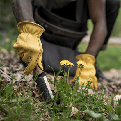 Premium Stainless Steel Gardening Knife with Walnut Grip | Zyphhra