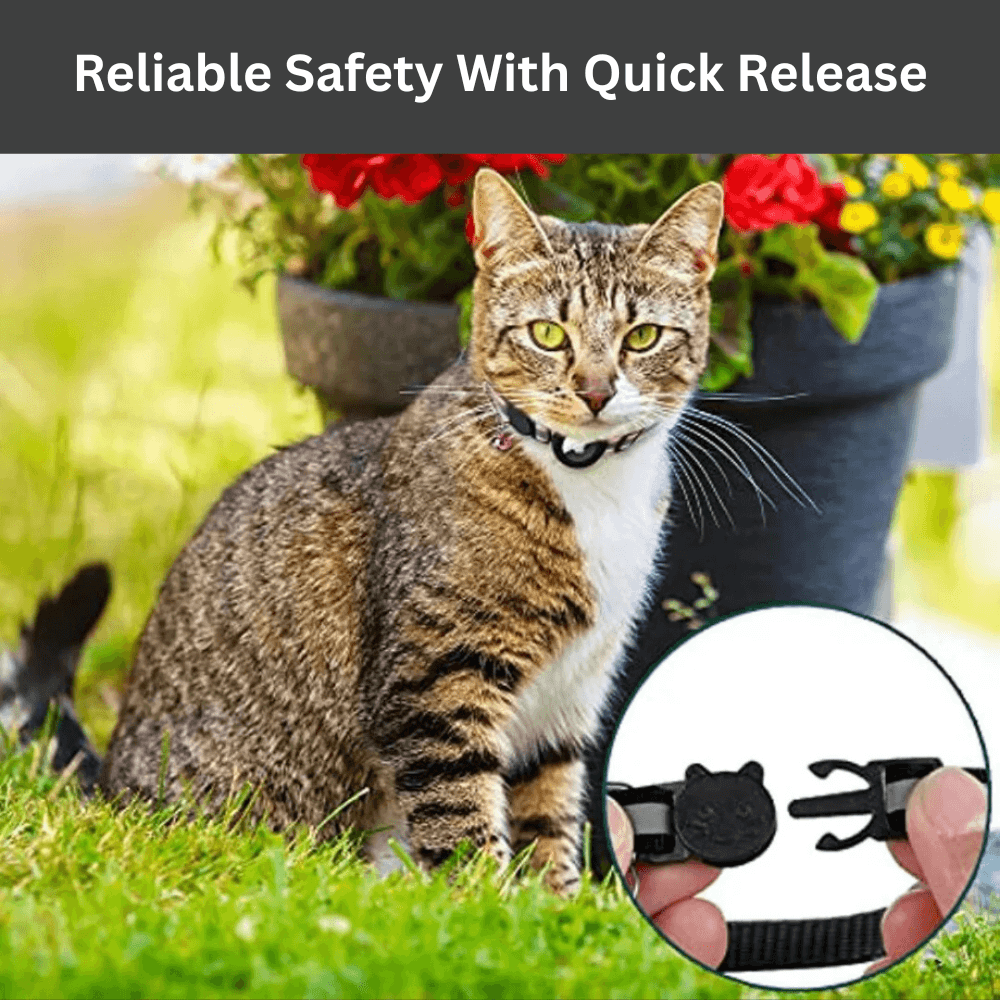 Reflective GPS Safety Cat Collar | Zyphhra