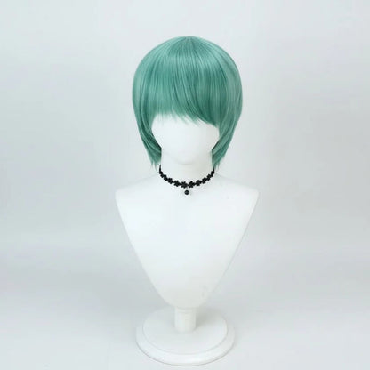 Halloween Costume Wig | Zyphhra